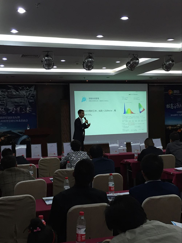 太陽能路燈，太陽能路燈廠家，太陽能路燈價格