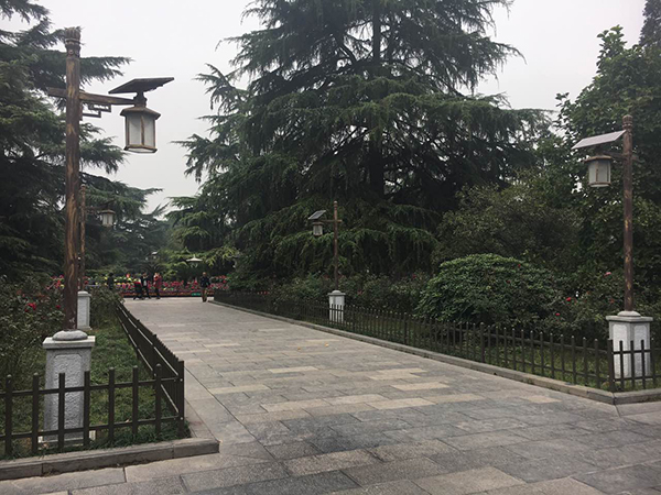 源碼太陽能路燈，太陽能路燈廠家，太陽能路燈價格