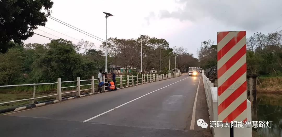 總統、發展局主席齊齊發聲，源碼火遍這個國家