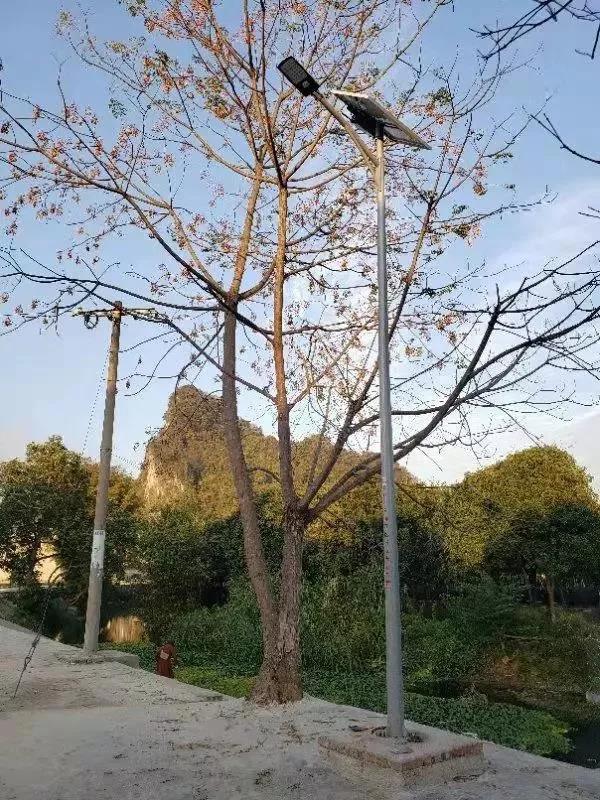 照亮農村幸福路！源碼攜手建設柳州“村屯光亮工程