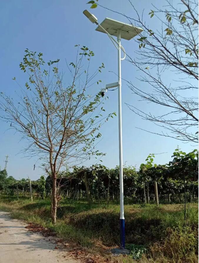 晴空排云雁高飛，源碼項(xiàng)目掀熱潮