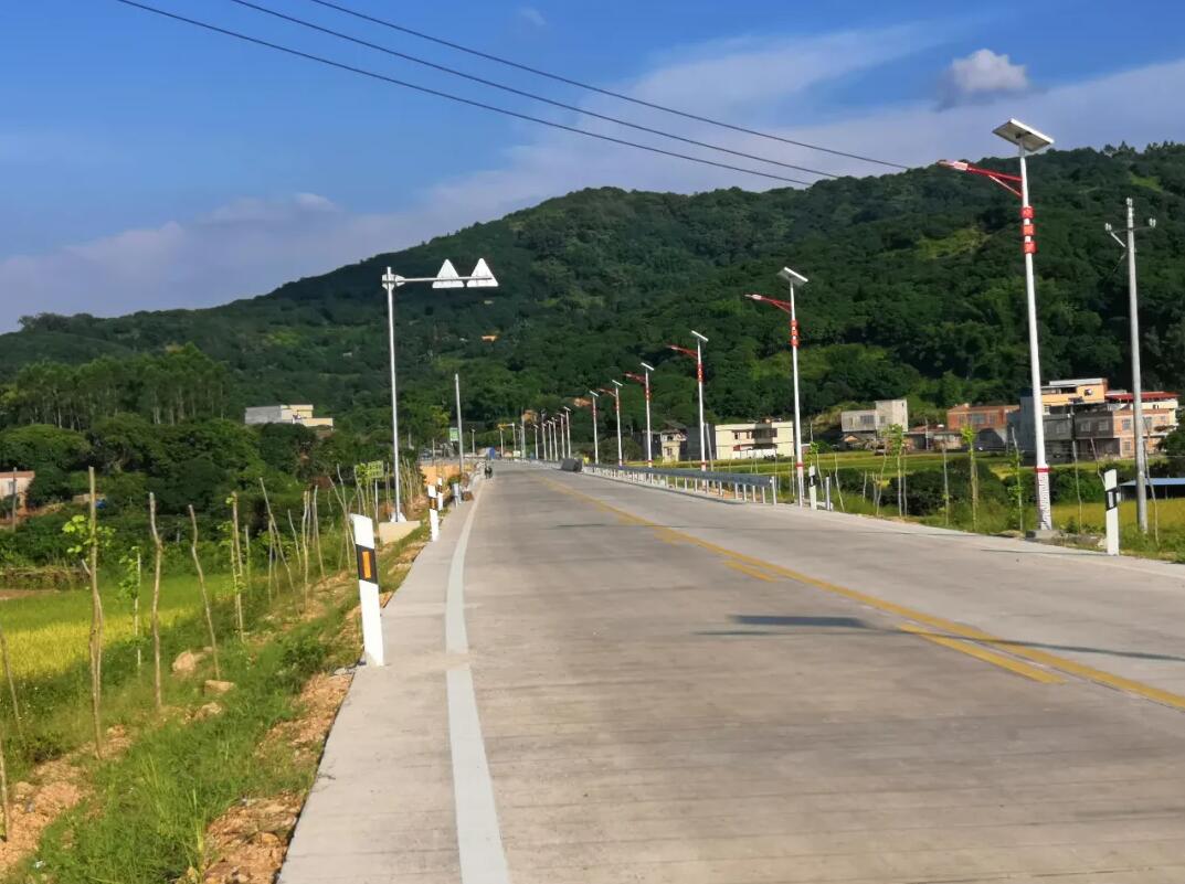 晴空排云雁高飛，源碼項(xiàng)目掀熱潮