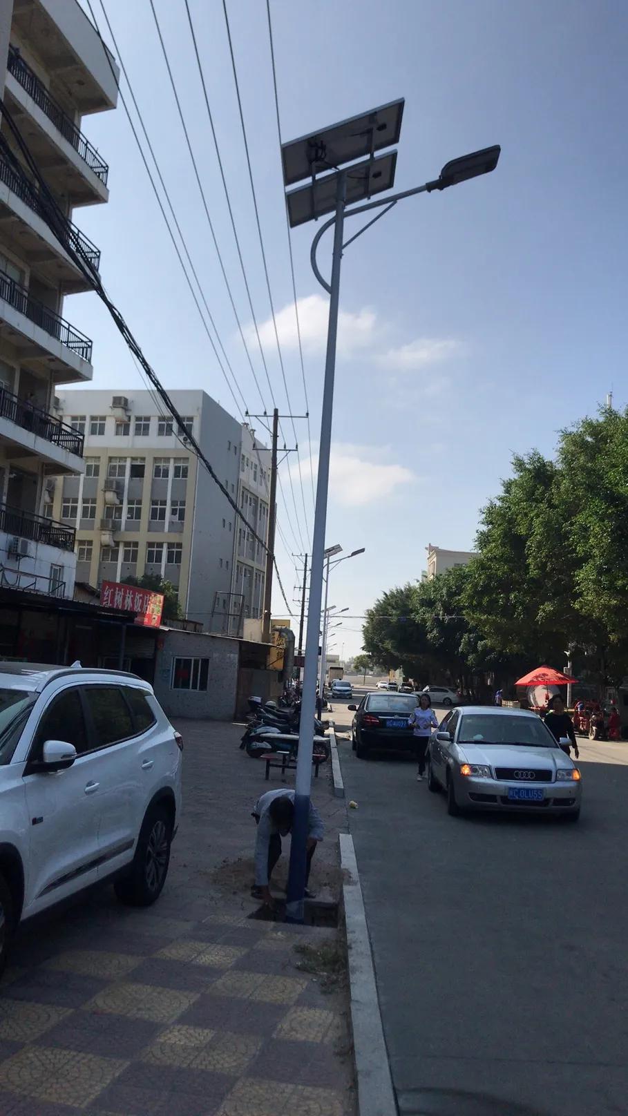 云鵬燈〡九萬里風安稅駕，云鵬今悔不卑飛